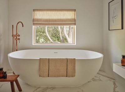 Systèmes rideaux drapés, SG 2355, Colorama 2 Multicolour, Cedars, Ipswich, Suffolk, United Kingdom