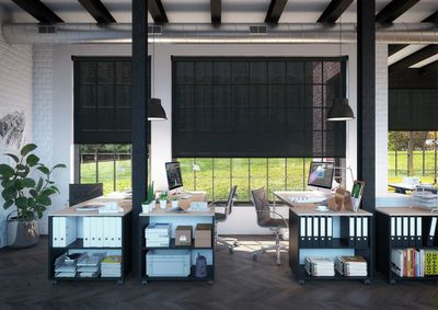 Systèmes stores enrouleurs, SG 4930, Versascreen 1-10%