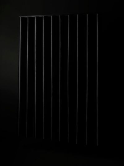 Systèmes de rideaux, SG 6870, Oscurante, Black