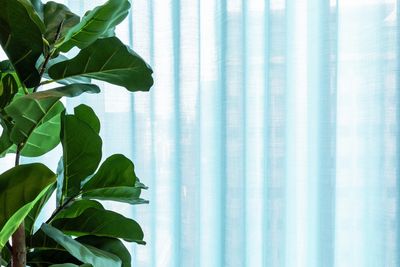 Systèmes de rideaux, SG 5600, Colorama 1, Virgin Money, Glasgow, Scotland, United Kingdom