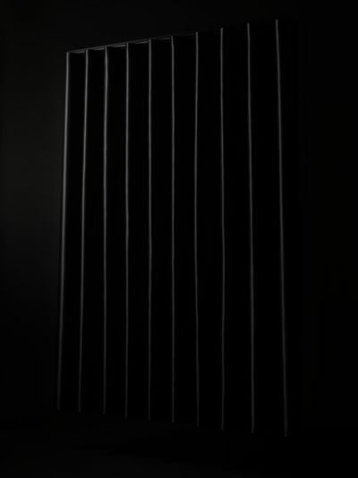 Systèmes de rideaux, SG 6870, Oscurante, Black